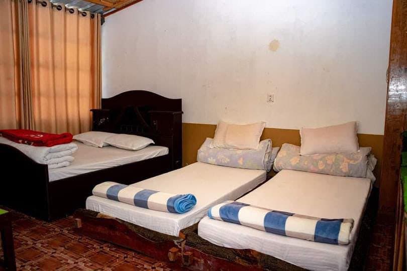 Tree House Group Night Stay Package