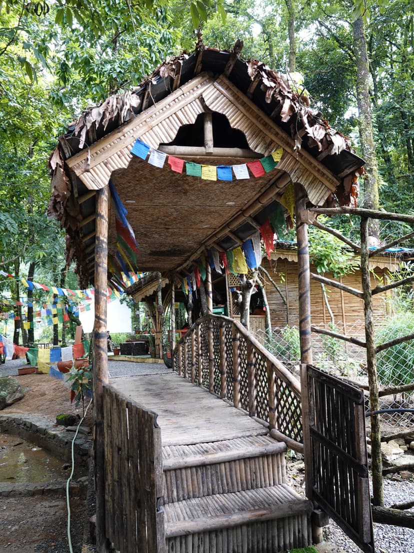Main Image 11