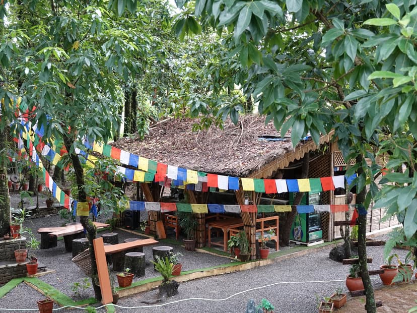 Main Image 15