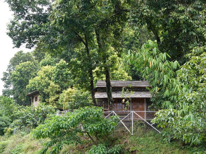 Main Image 17