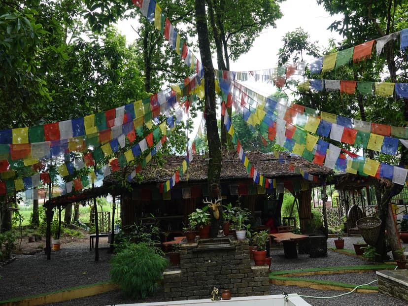 Main Image 5