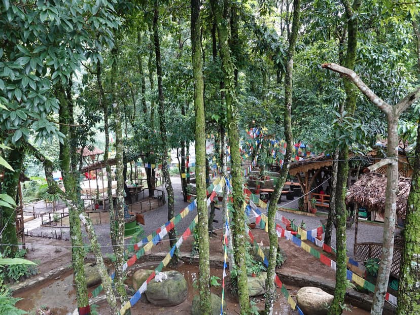 Main Image 8